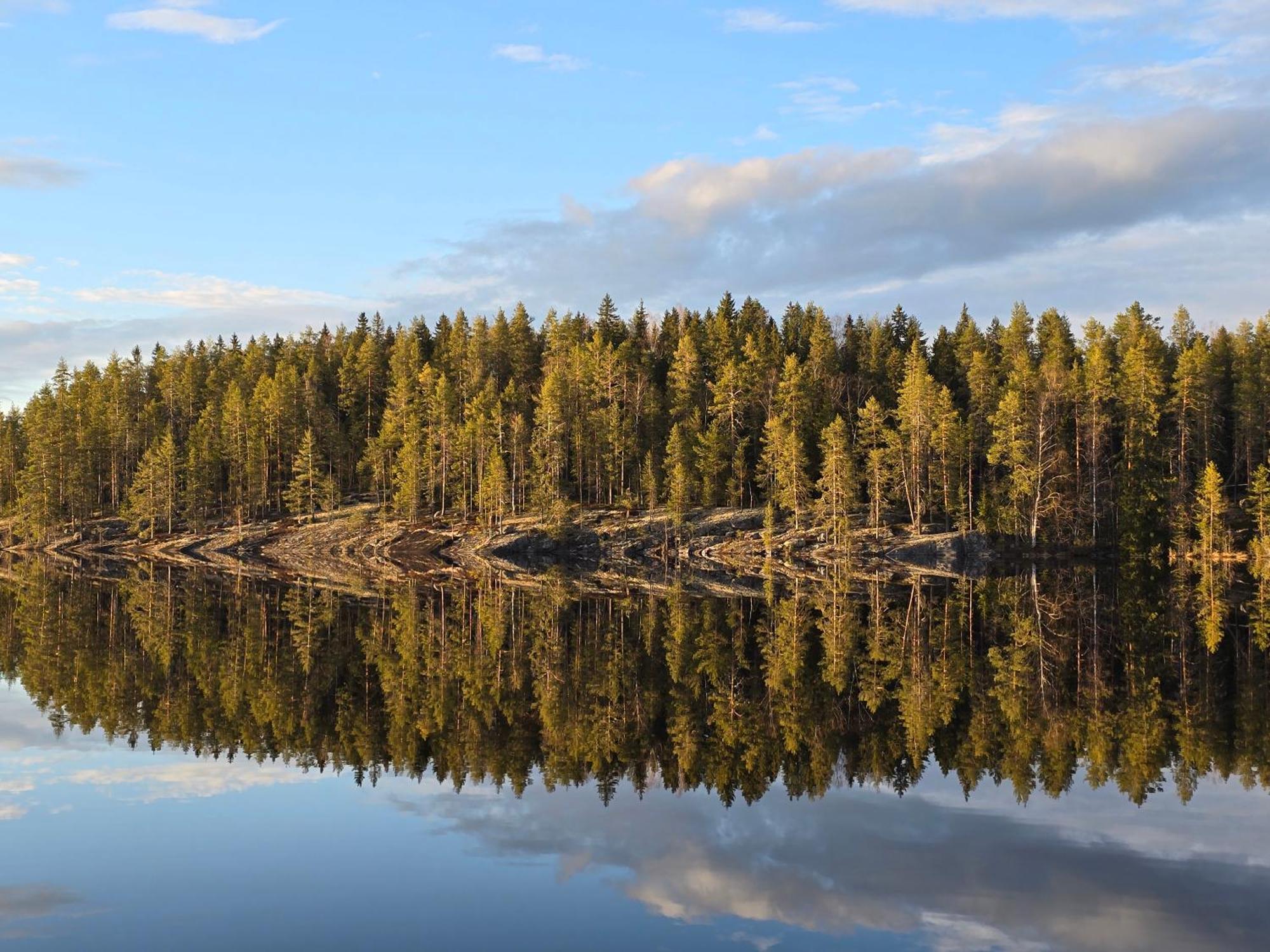 Gerika 1 Villa Enonkoski Bagian luar foto