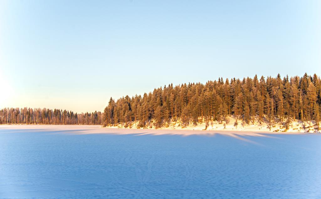 Gerika 1 Villa Enonkoski Bagian luar foto